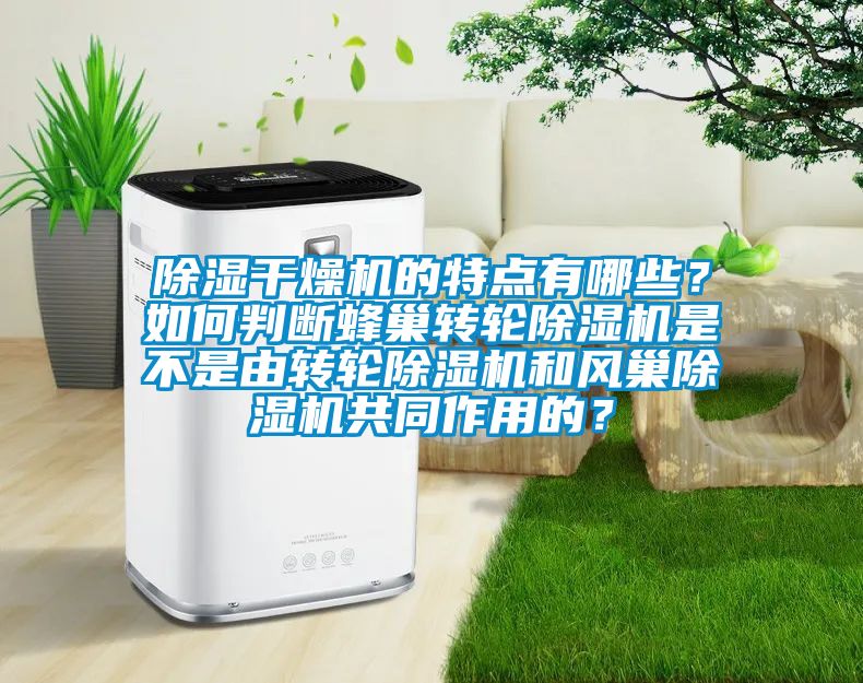 除濕干燥機的特點有哪些?如何判斷蜂巢轉輪除濕機是不是由轉輪除濕機和風巢除濕機共同作用的?
