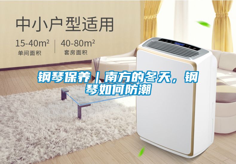 鋼琴保養(yǎng)|南方的冬天,鋼琴如何防潮