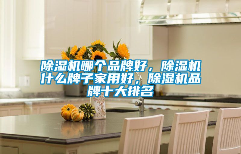 除濕機哪個品牌好，除濕機什么牌子家用好，除濕機品牌十大排名