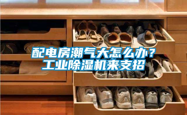 配電房潮氣大怎么辦?工業(yè)除濕機(jī)來(lái)支招