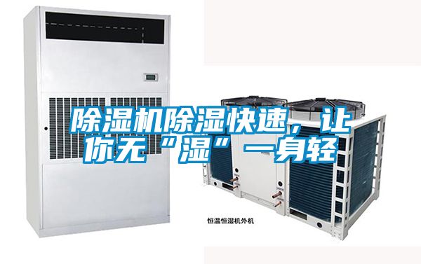 除濕機(jī)除濕快速,讓你無“濕”一身輕