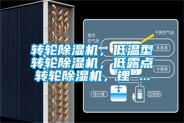 轉(zhuǎn)輪除濕機,低溫型轉(zhuǎn)輪除濕機,低露點轉(zhuǎn)輪除濕機,鋰 ...
