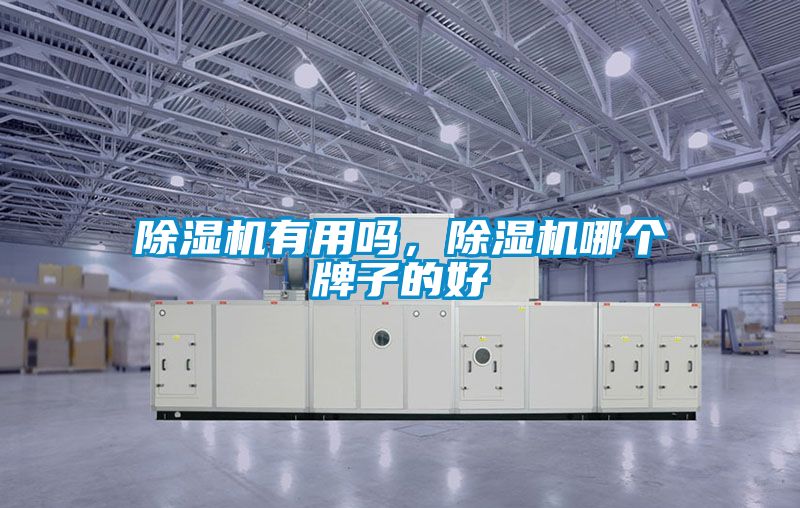 除濕機(jī)有用嗎,除濕機(jī)哪個(gè)牌子的好