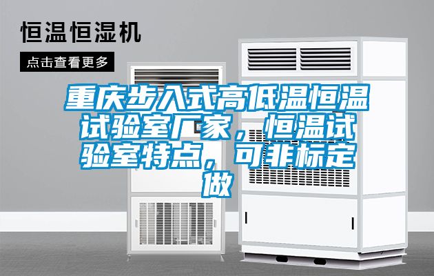 重慶步入式高低溫恒溫試驗(yàn)室廠家，恒溫試驗(yàn)室特點(diǎn)，可非標(biāo)定做