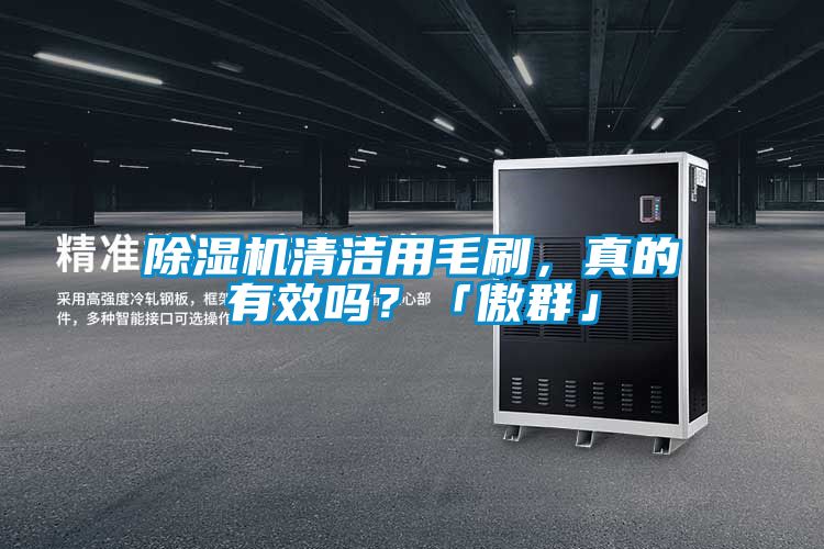 除濕機(jī)清潔用毛刷,真的有效嗎?「傲群」