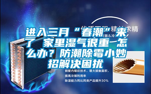 進入三月“春潮”來了 家里濕氣很重 怎么辦?防潮除霉小妙招解決困擾
