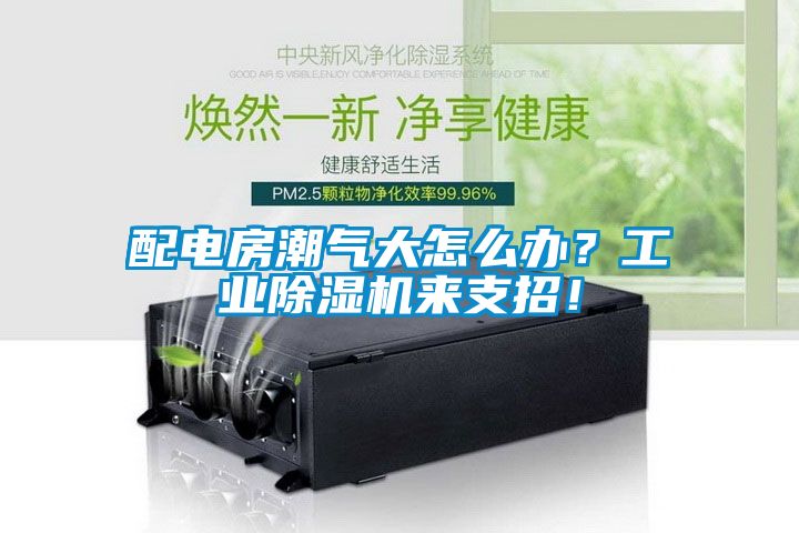 配電房潮氣大怎么辦？工業除濕機來支招！
