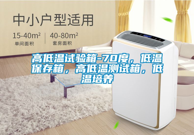 高低溫試驗箱-70度，低溫保存箱，高低溫測試箱，低溫培養(yǎng)