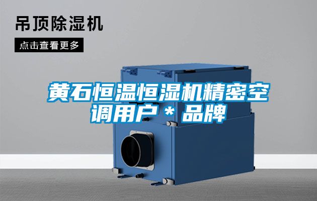 黃石恒溫恒濕機精密空調用戶*品牌