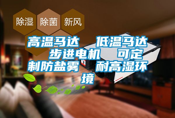 高溫馬達 低溫馬達 步進電機 可定制防鹽霧 耐高濕環(huán)境