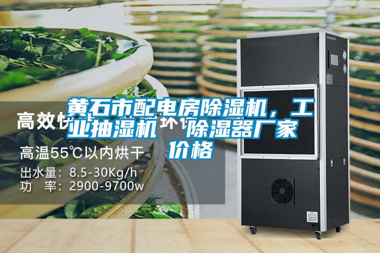 黃石市配電房除濕機，工業抽濕機  除濕器廠家 價格