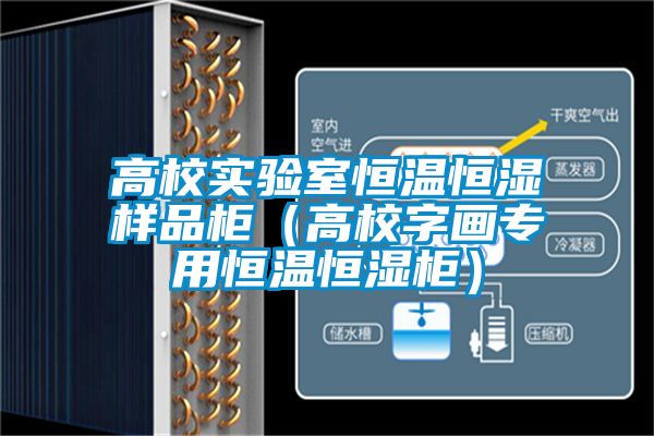 高校實驗室恒溫恒濕樣品柜(高校字畫專用恒溫恒濕柜)